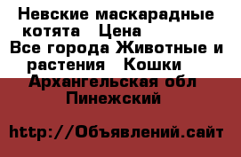 Невские маскарадные котята › Цена ­ 15 000 - Все города Животные и растения » Кошки   . Архангельская обл.,Пинежский 